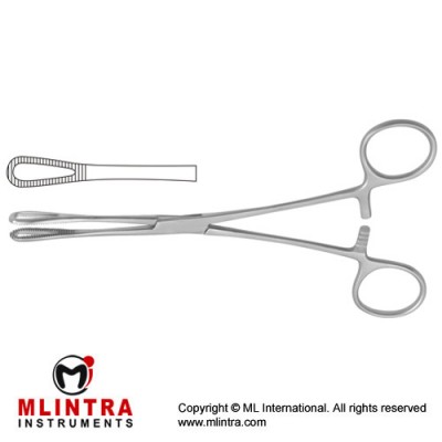 Rampley Sponge Holding Forcep Straight Stainless Steel, 24.5 cm - 9 3/4"